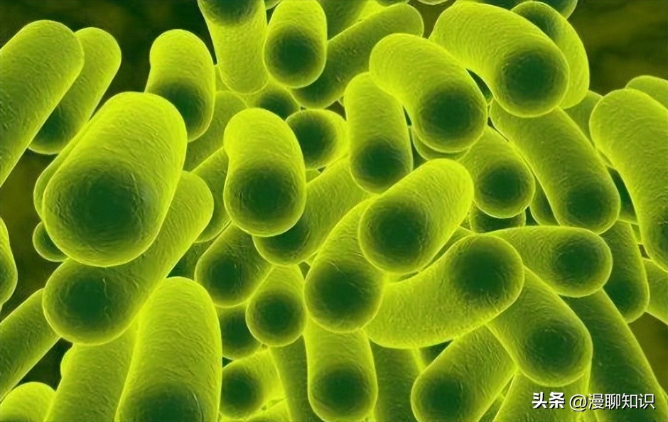 马疱疹病毒感染用什么治疗好,马病毒性疱疹