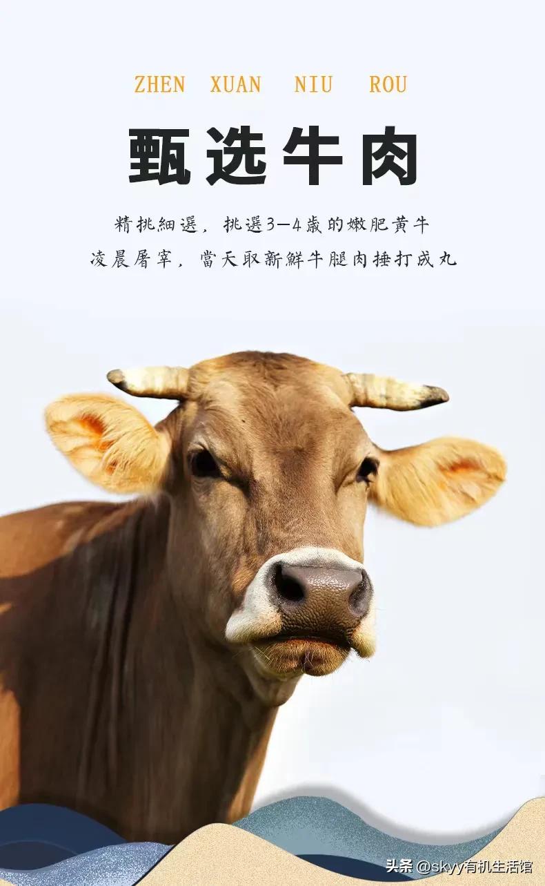 潮汕牛肉丸做法大全家常菜,潮汕正宗牛肉丸好吃不腻