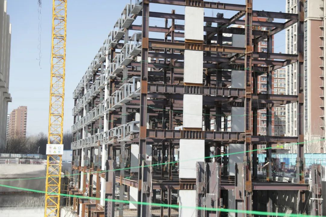 文林峰,文林峰简历