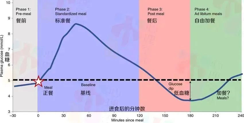 一吃完饭就测血糖,吃完饭就测血糖