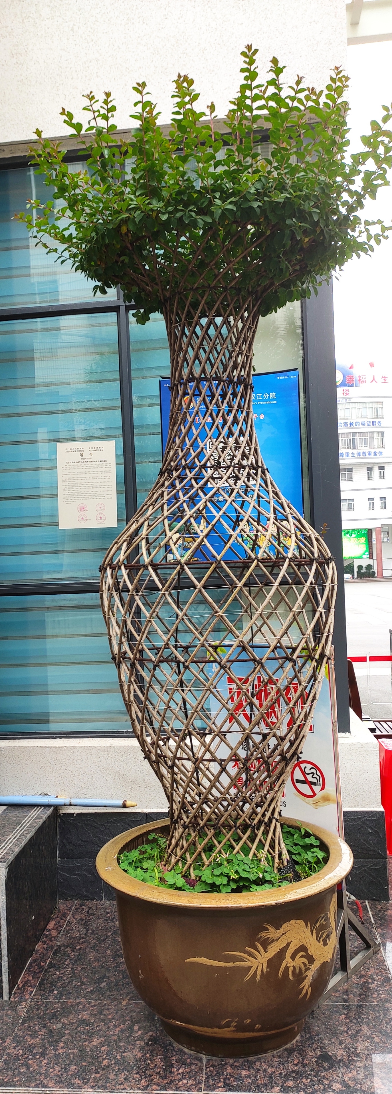 这所学校:一部教材续写17年一名校长续任17年一份初心续守17年