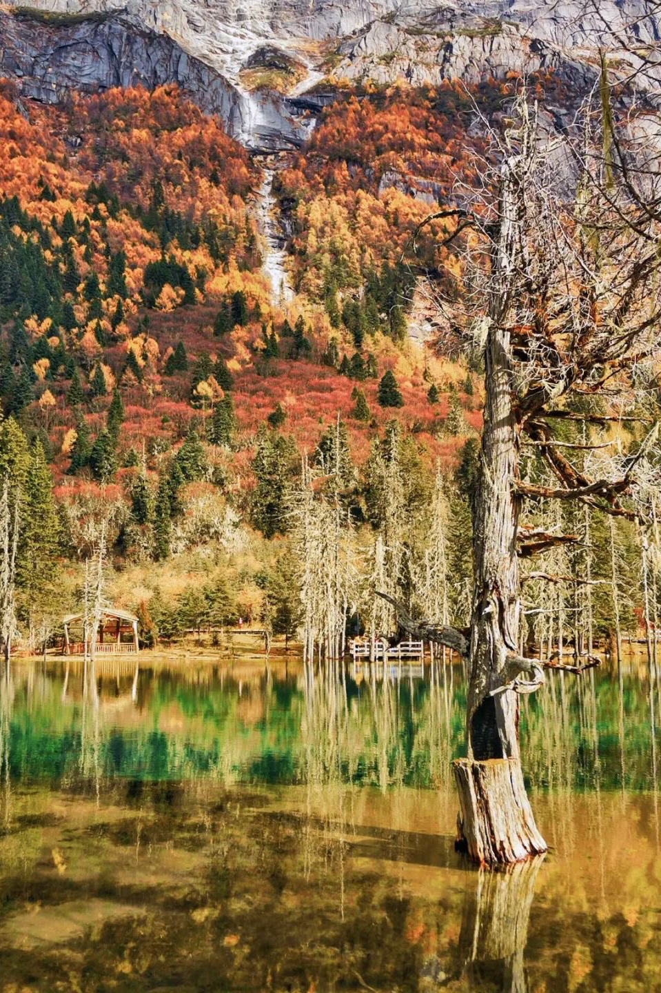 成都去西藏3天往返,成都去西藏不重复路线