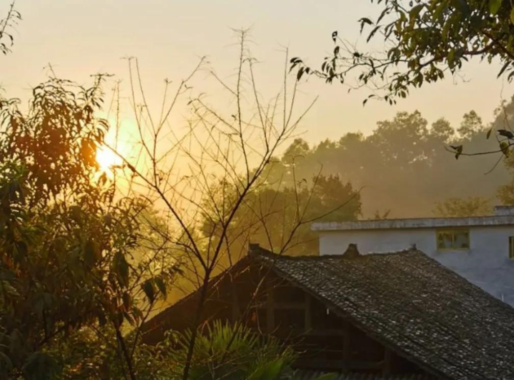 不系舟作者作品全集,不系舟抖音账号