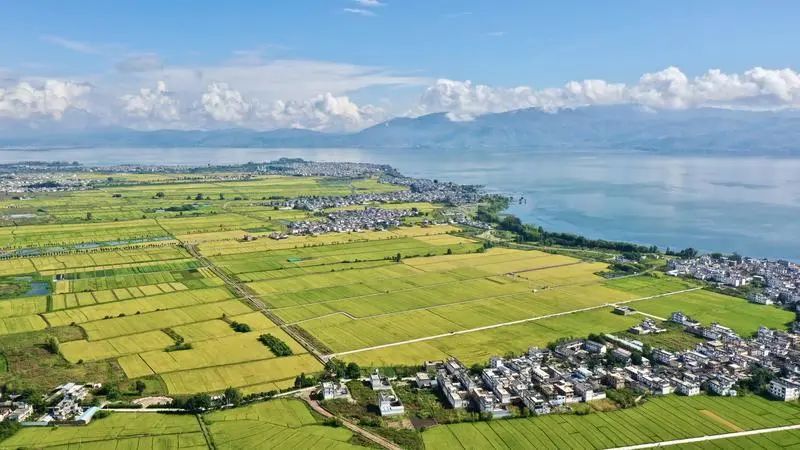 五彩云南风景,七彩云南介绍和特色