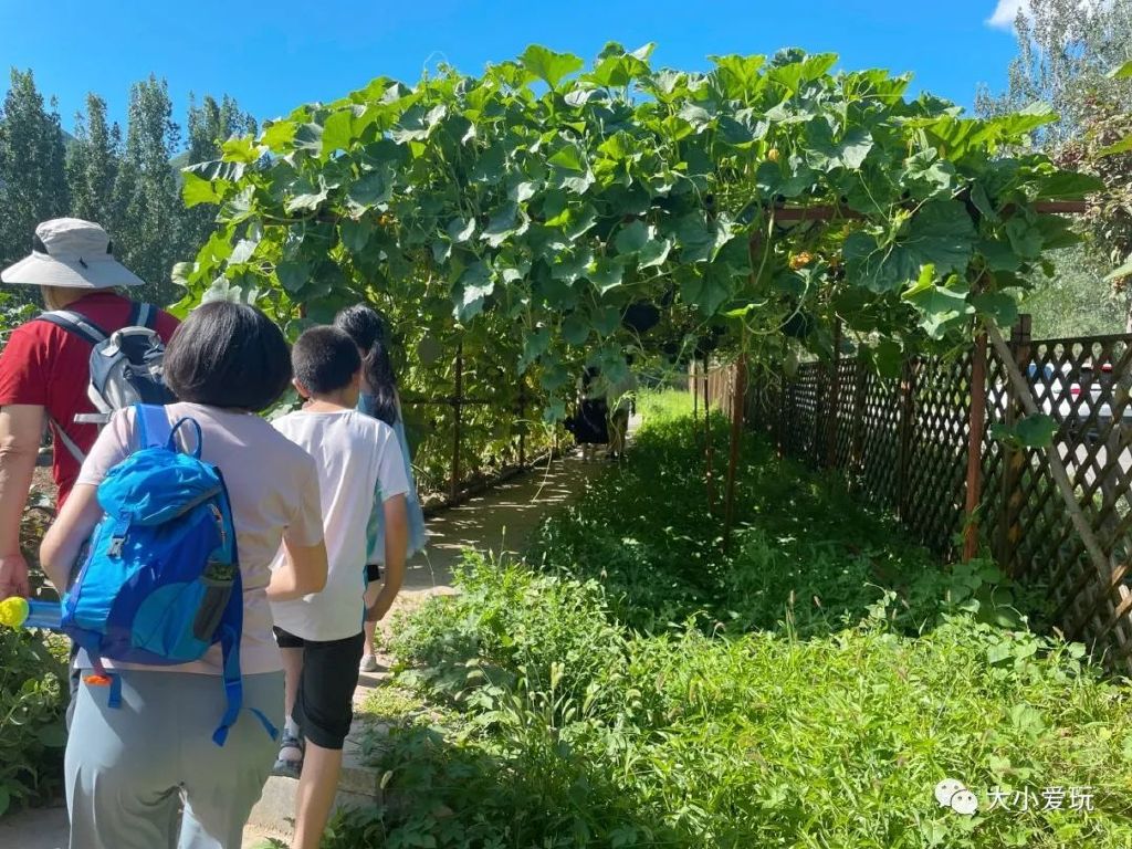 打卡北京亲子乐园天花板,北京度假村旅游攻略带孩子