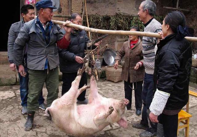 新时代山乡巨变奔小康,乡村振兴续写山乡巨变新闻