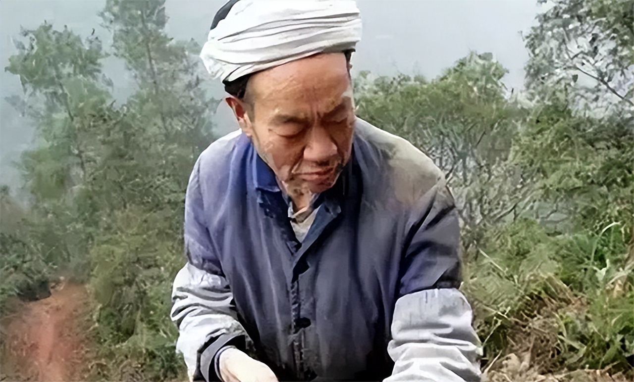 漂亮寡妇偷吃“*果禁**”，携19岁小伙隐居深山50年，创造了人间奇迹