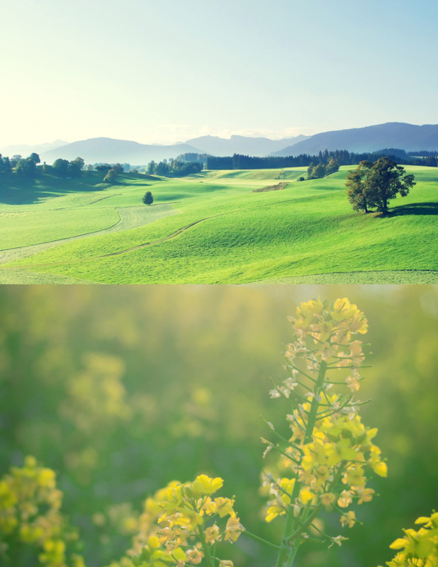 iphone拼接两张图片,抖音两张图片拼接在一起