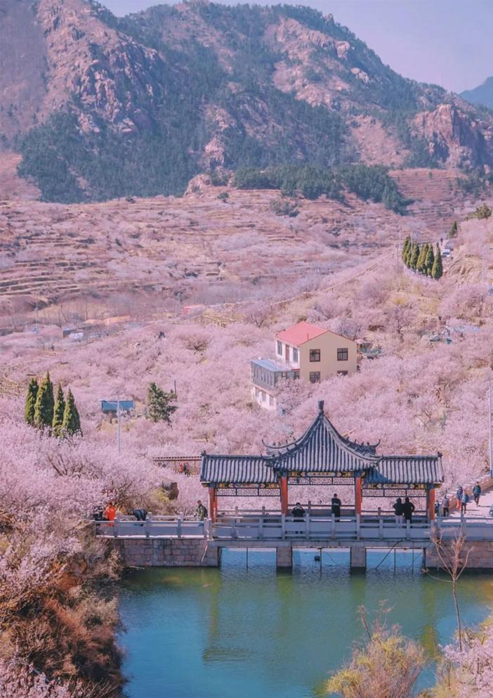 微信农场功能怎么开通,微信农场怎么玩