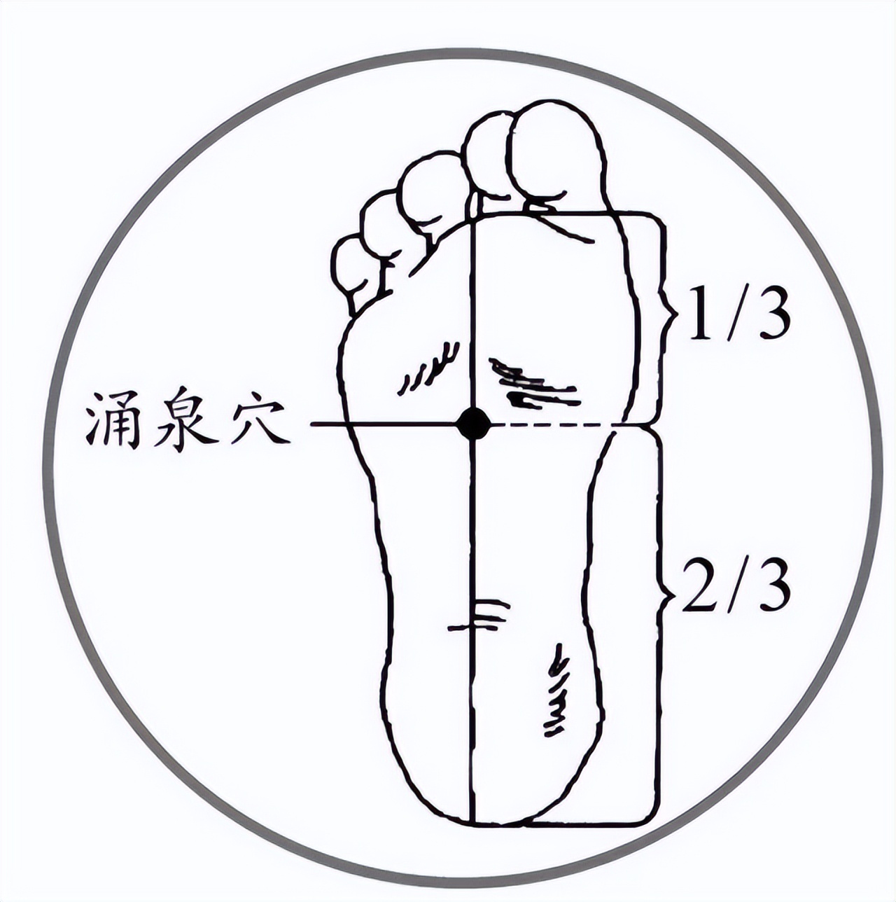 白天犯困晚上失眠多梦是怎么回事,白天打瞌睡晚上失眠是什么原因