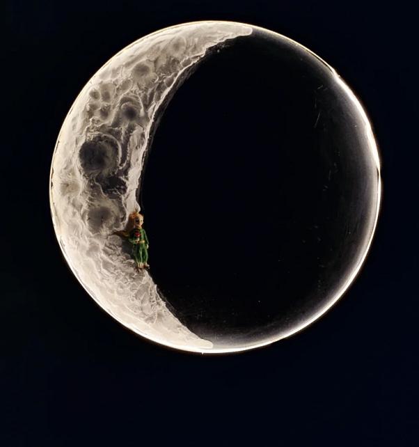 那些网红造假的后果 (造假的网红是真的吗)