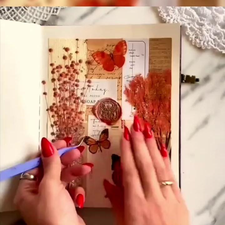 文荒推荐迷途相伴,文荒推荐极度舒适