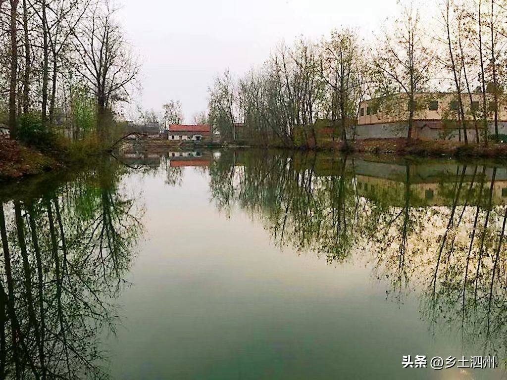 安徽泗县刘氏字辈排行,安徽泗县屏山镇刘氏族谱