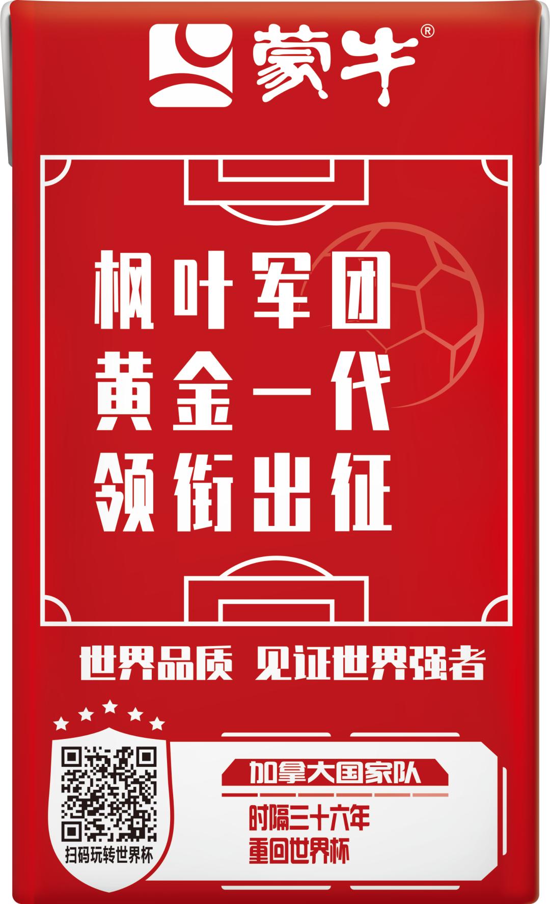 世界杯足球员故事,世界杯队长纪录片第四集