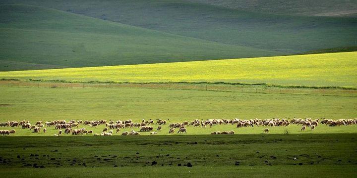 鍐呰挋鍙ゅ宸磋兒椋庢牸琛ｆ湇,澶氬反瀹夌┛鎼唴钂欏彜