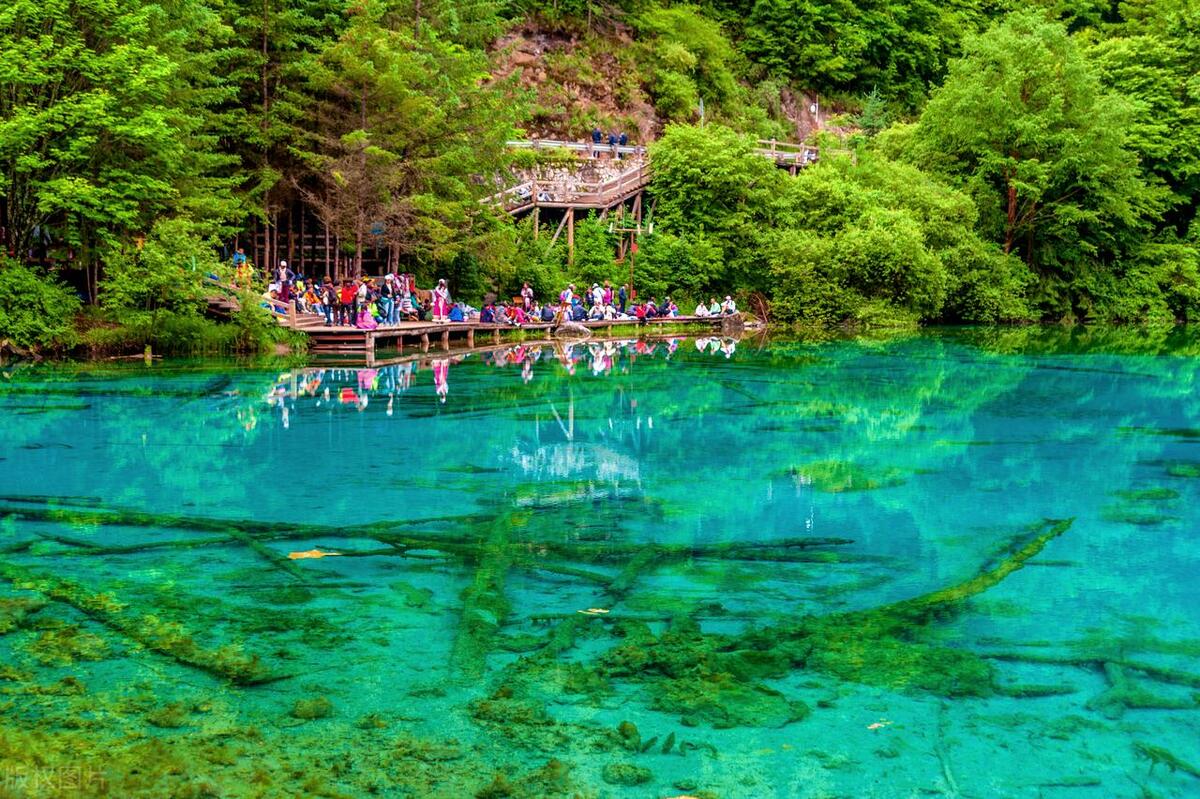 四川接待游客最新消息,五一四川接待游客和旅游收入