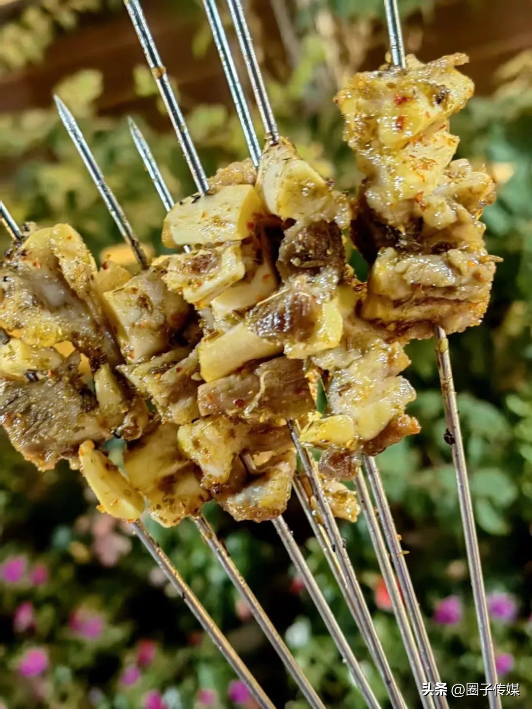 探幽鲜踪，隐匿在南郊宾馆的一处秘境，【中土啤酒花园】