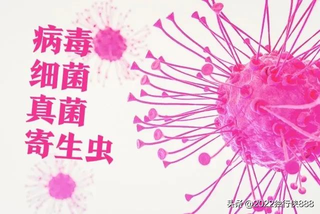 幼儿发热怎么处理视频,幼儿发热肚子疼是什么原因