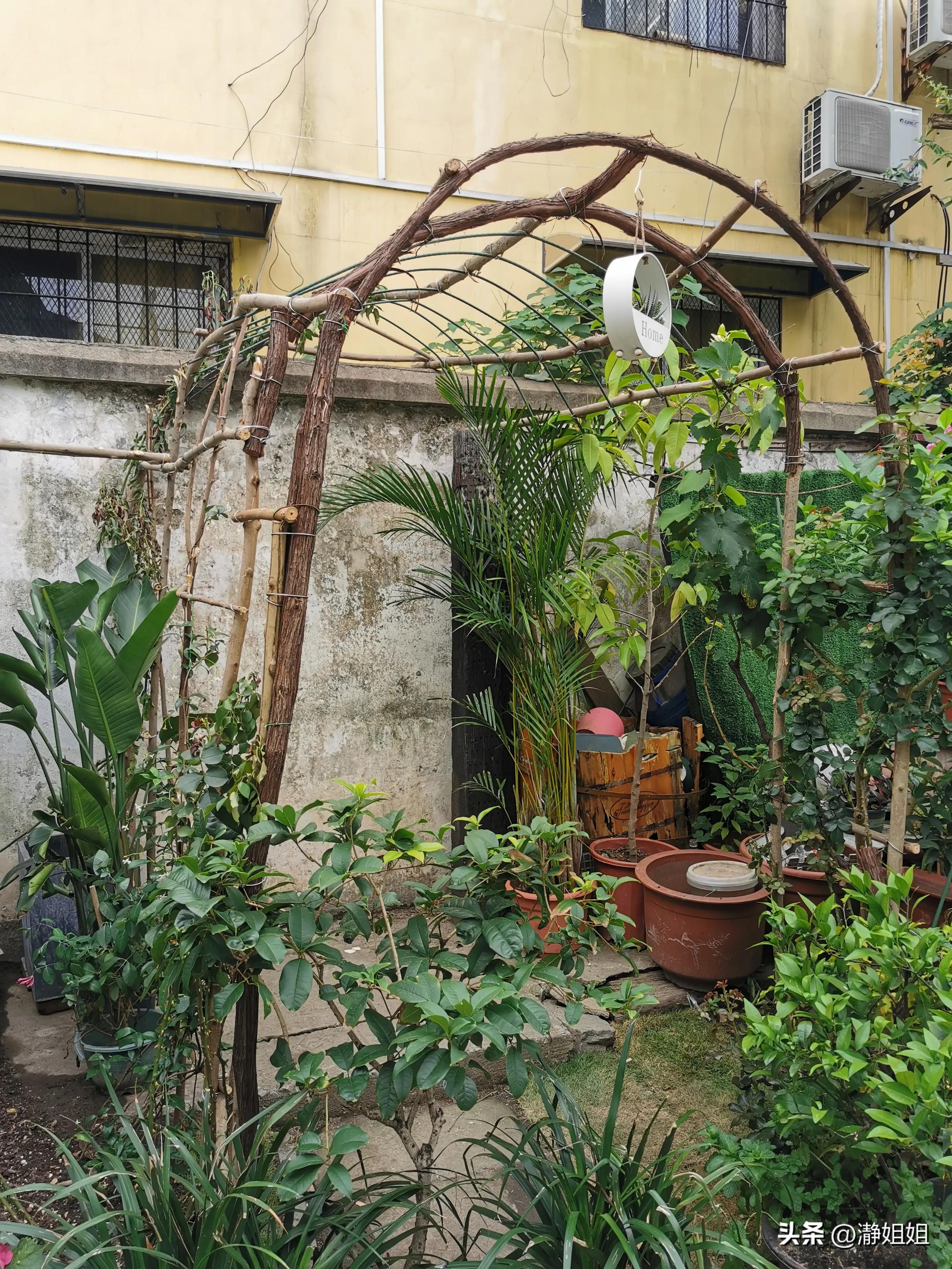 汉阳火车站网红站前花街,汉阳火车站站前花街位置