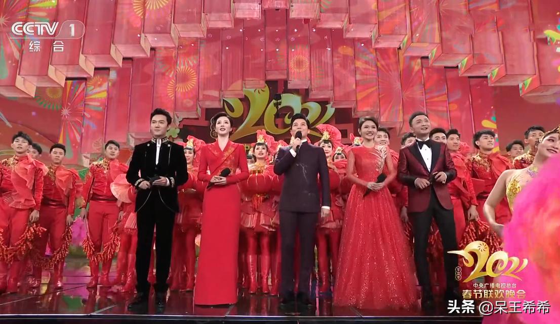 央视春晚主持人鲁豫简介,央视春晚开场任鲁豫