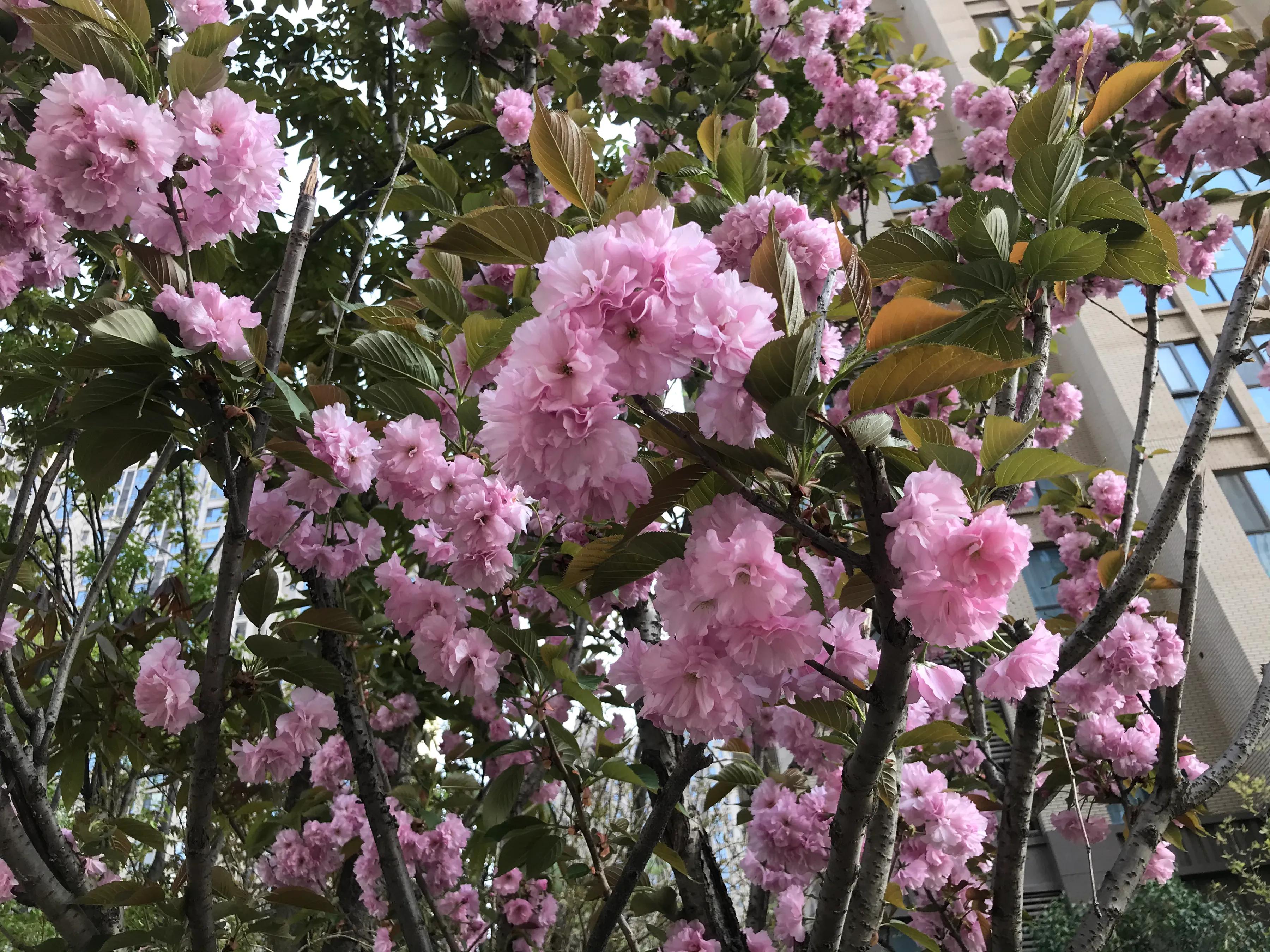 世态炎凉，亲情淡薄，80后小伙感叹要和舅舅断交