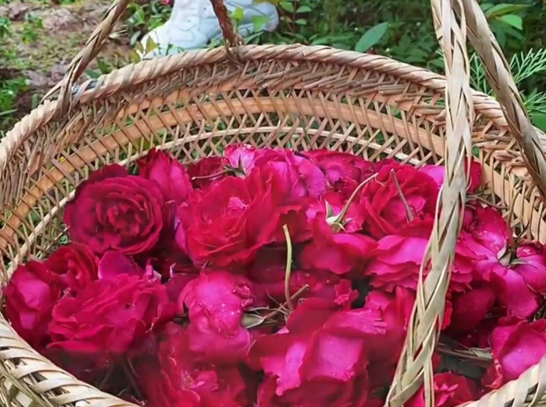 适合秋季喝的八种花茶,这些小众茶你喝过几种