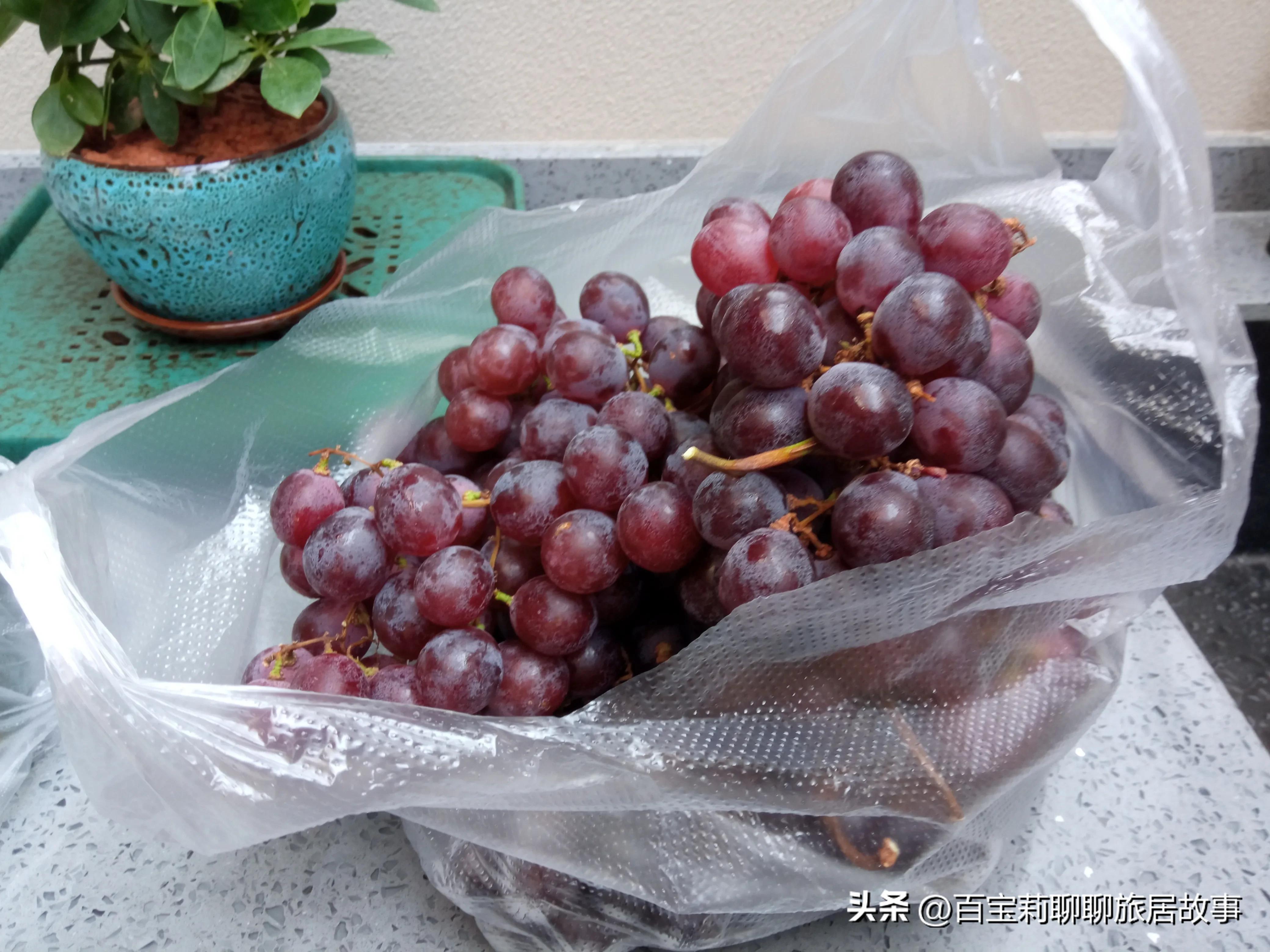 版纳旅游带什么水果回家,西双版纳旅游攻略水果批发市场