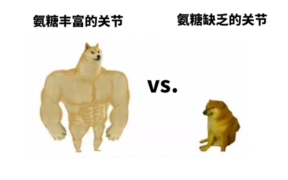 氨糖movefree软骨素品牌,movefree氨糖软骨素怎么吃