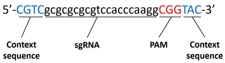 crispr蛋白质,crispr最新成果