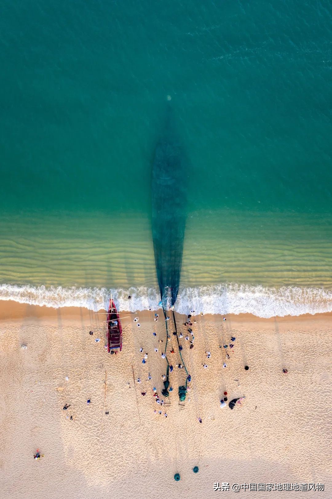莆田荔枝龙眼枇杷,莆田的枇杷又大又甜