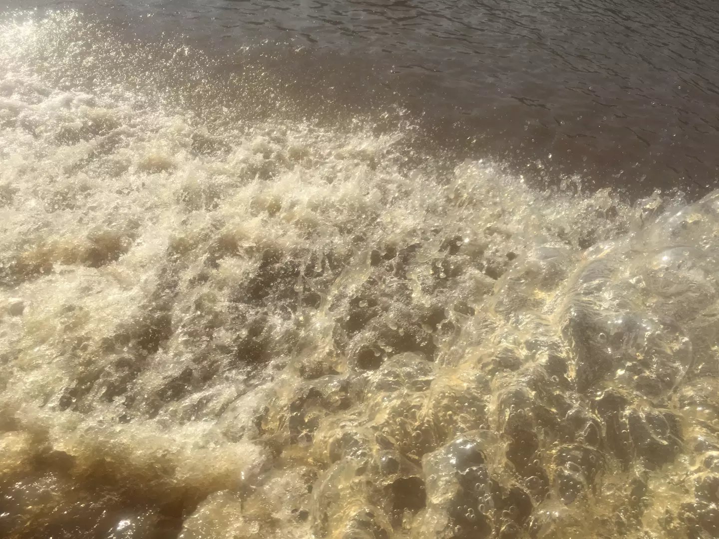 柬埔寨旅行记的真实经历,柬埔寨暹粒行