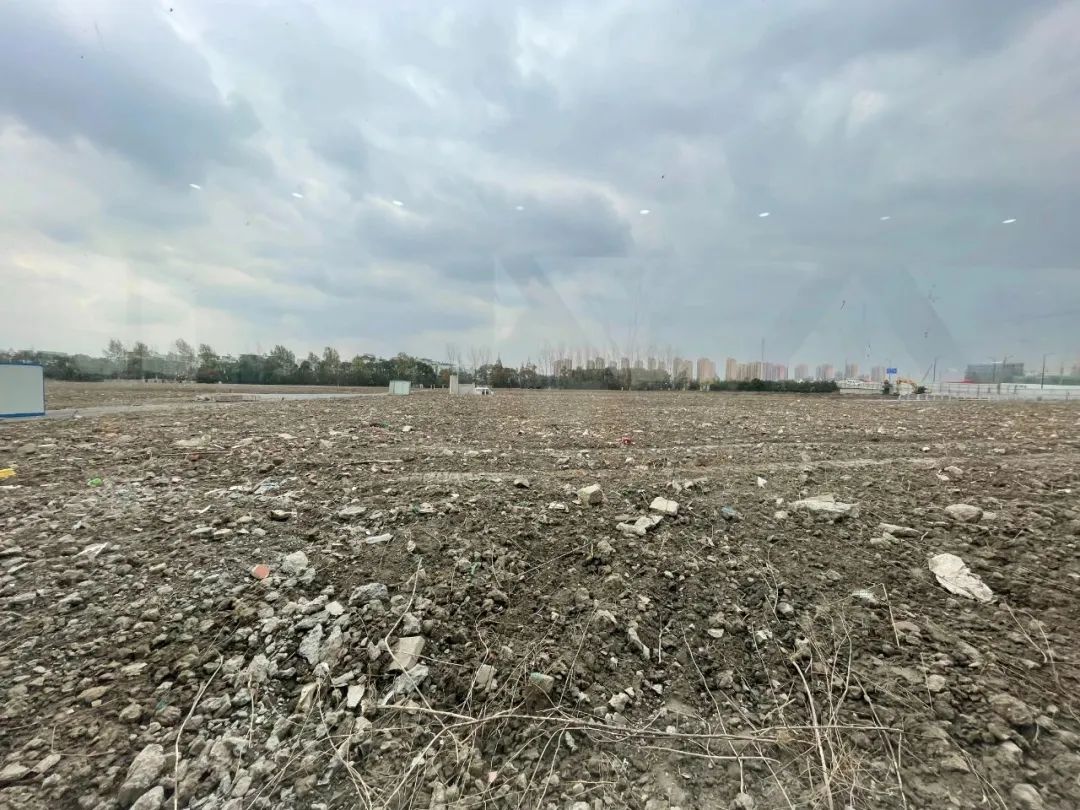 涨到心发慌，这里会是埋人的无底洞吗？#B050