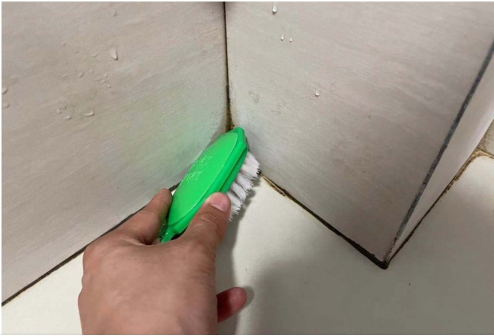 卫生间小飞虫蛾蚋的危害,卫生间小飞虫有多可怕