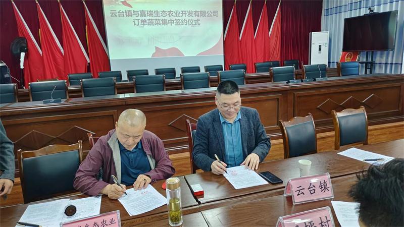 平昌云台镇引进种植订单蔬菜让百姓“零风险”大把赚钱