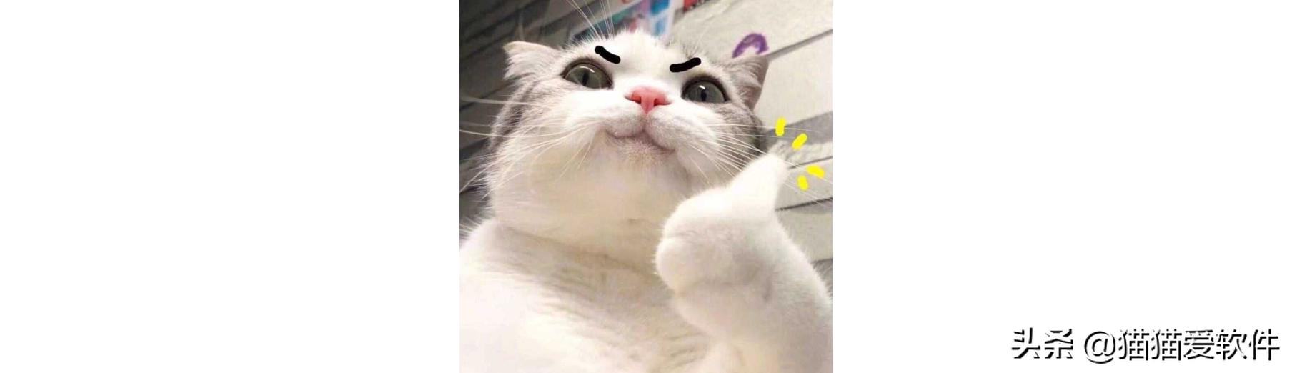 20个学习网址,收藏的学习网站