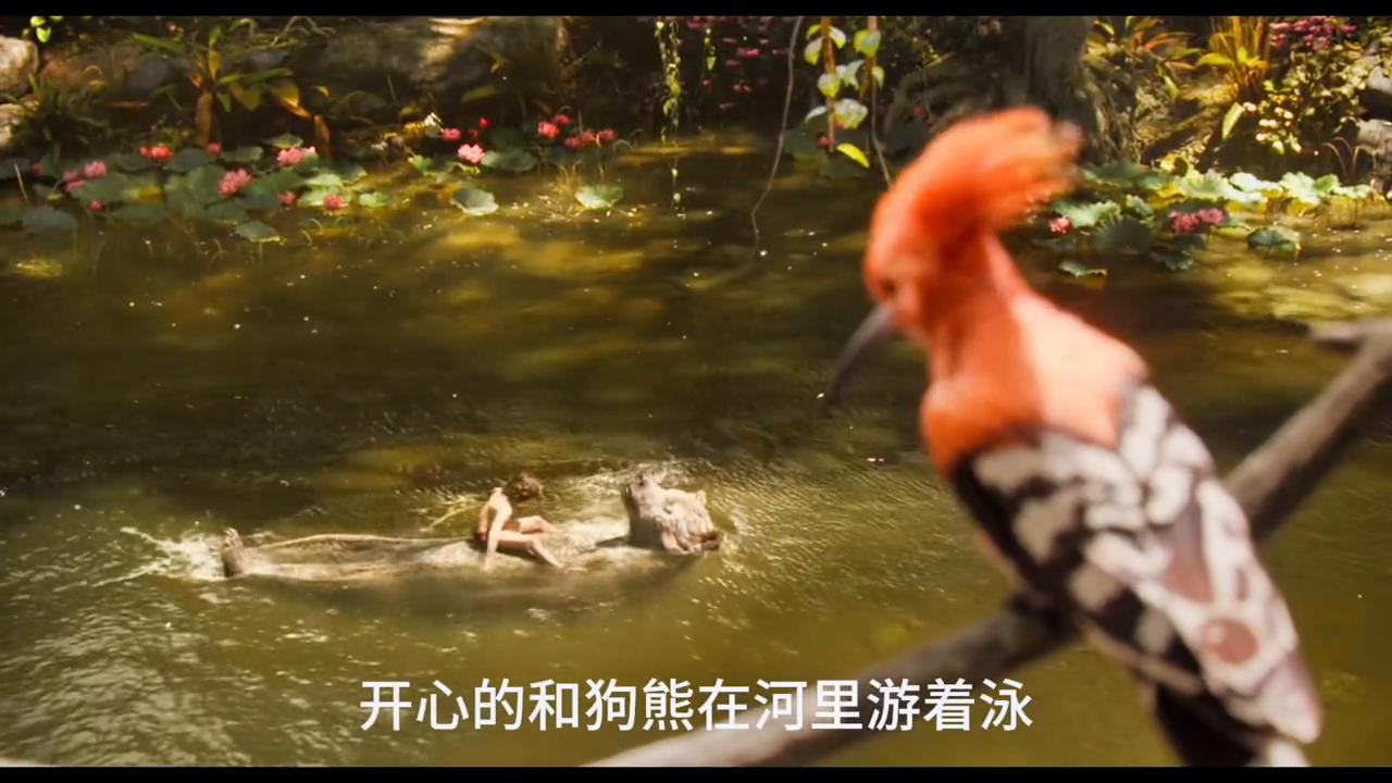 巨蟒刚刚吞下一个人电影,电影巨蟒吞人