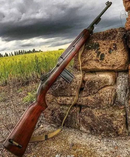 卡宾枪持枪动作教学,卡宾骑枪