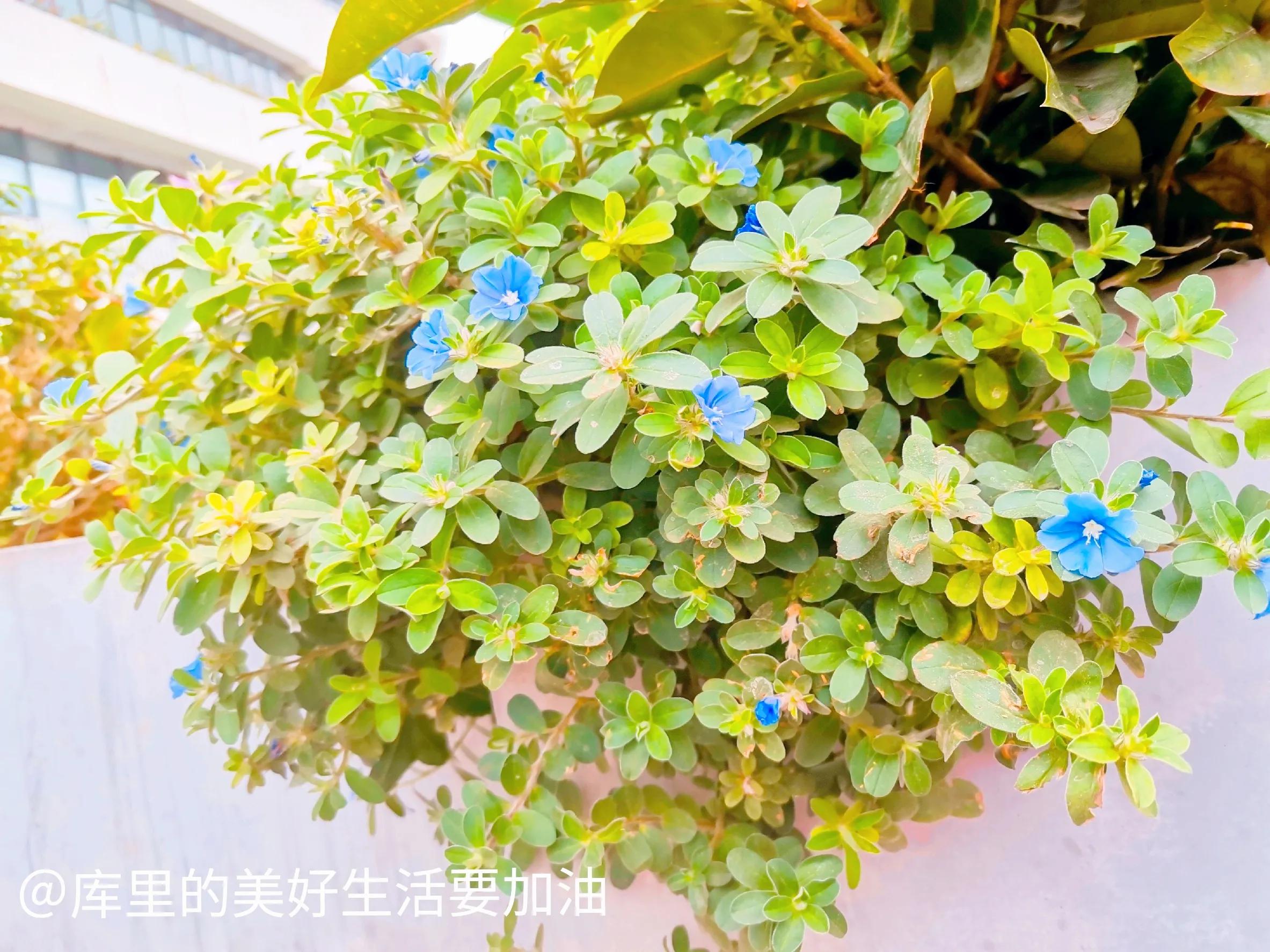 快速翻身的5个小生意,穷人怎么做小生意翻身