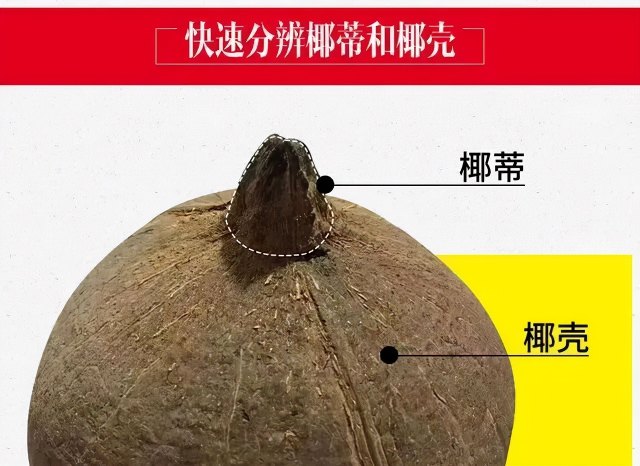 染色椰蒂怎么处理,椰蒂手串怎么看染色