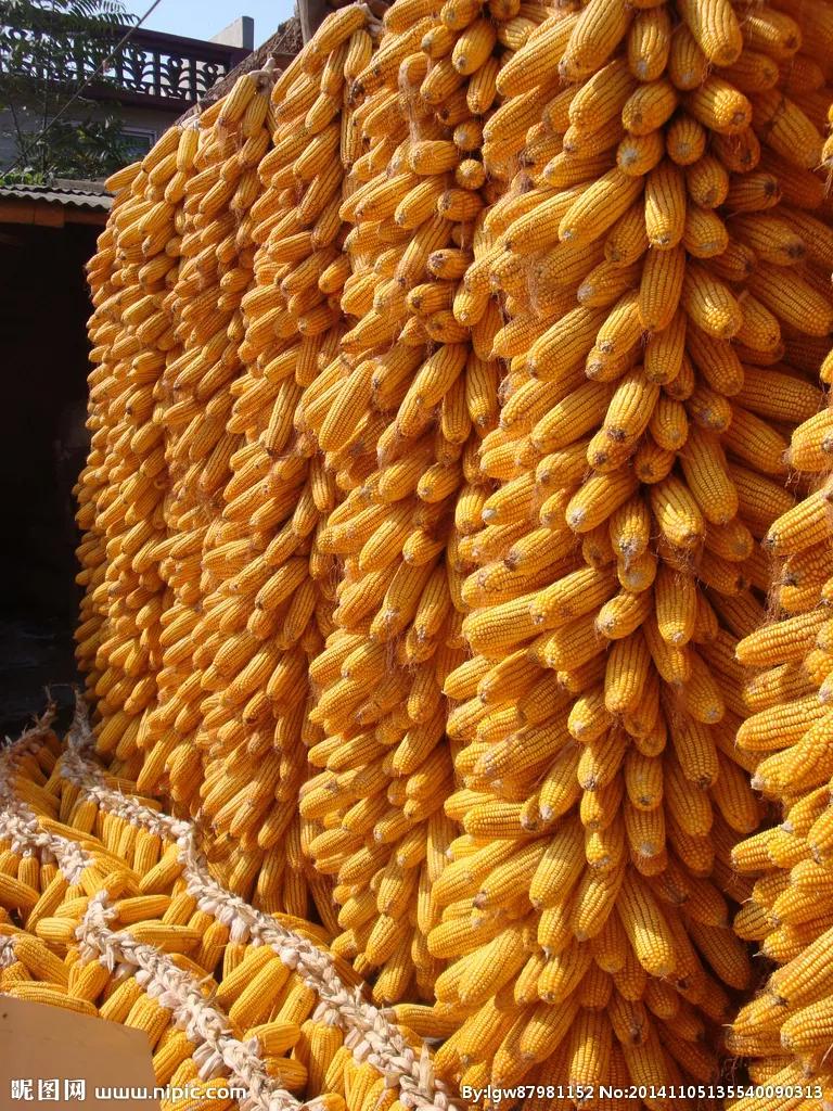 陕西农村的故事,农民与土地故事