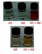 PXG/H13在非共价相互作用下，是如何有效阻止PXG反应的