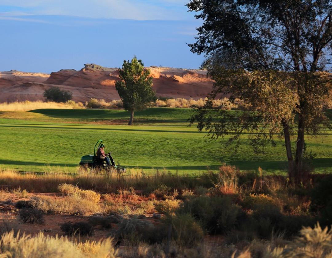 茅台冰淇淋科技创新,茅台冰淇淋背后的商业布局