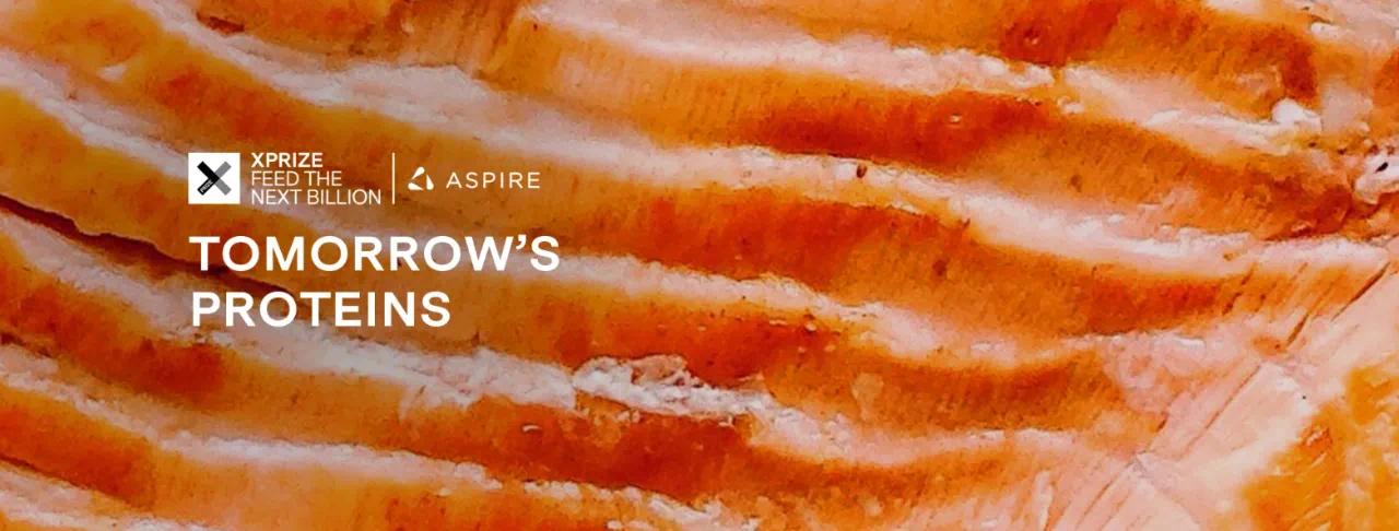 马斯克创业的团队,马斯克有哪些创业项目