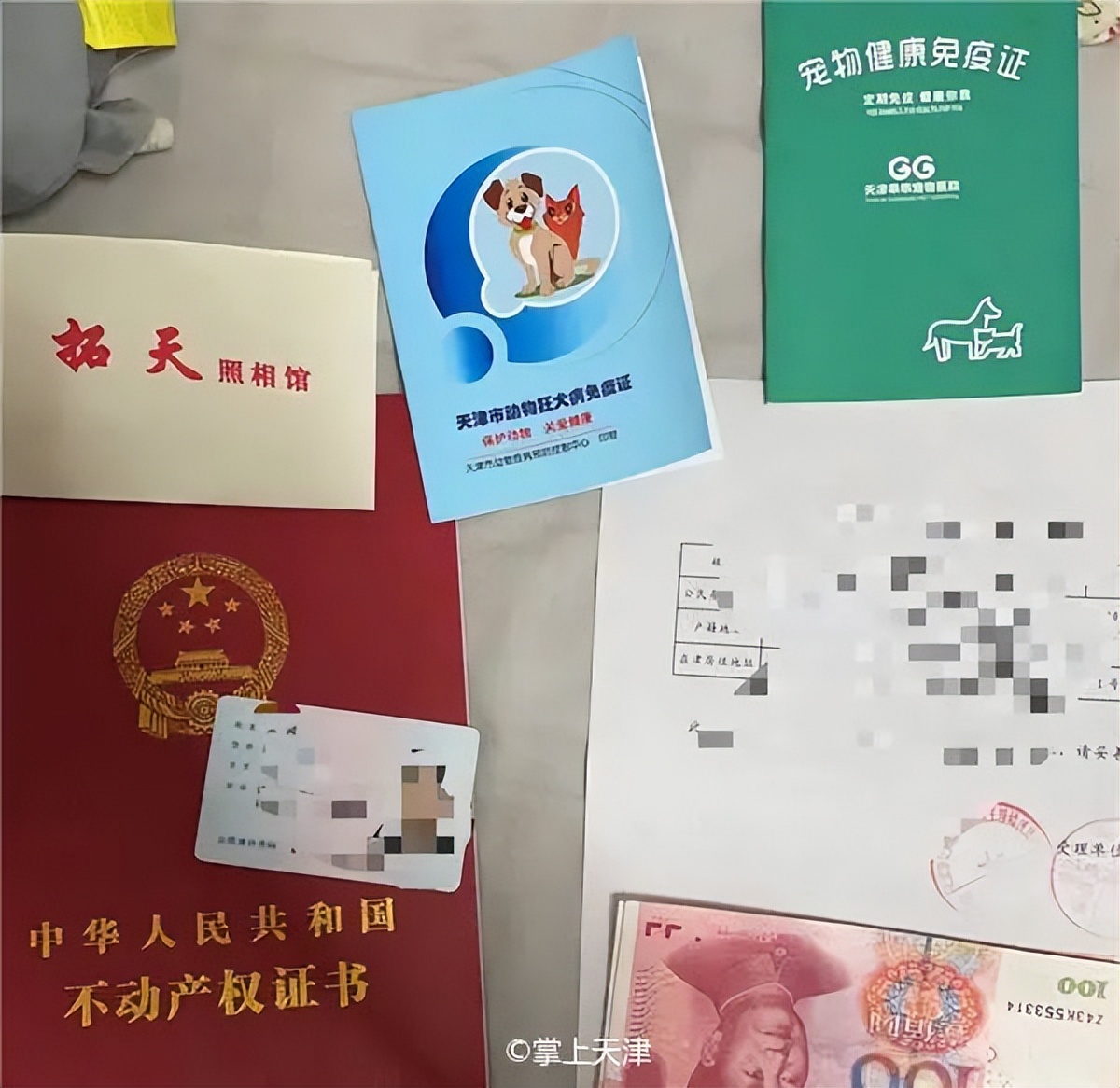 天津上狗证是免费打疫苗吗,在天津养狗需要办狗证吗