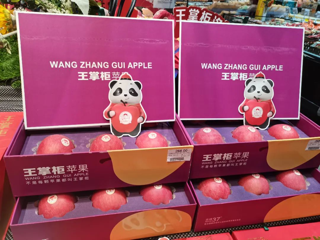 一起来看美丽的淀山湖,一起来看苏州京杭大运河