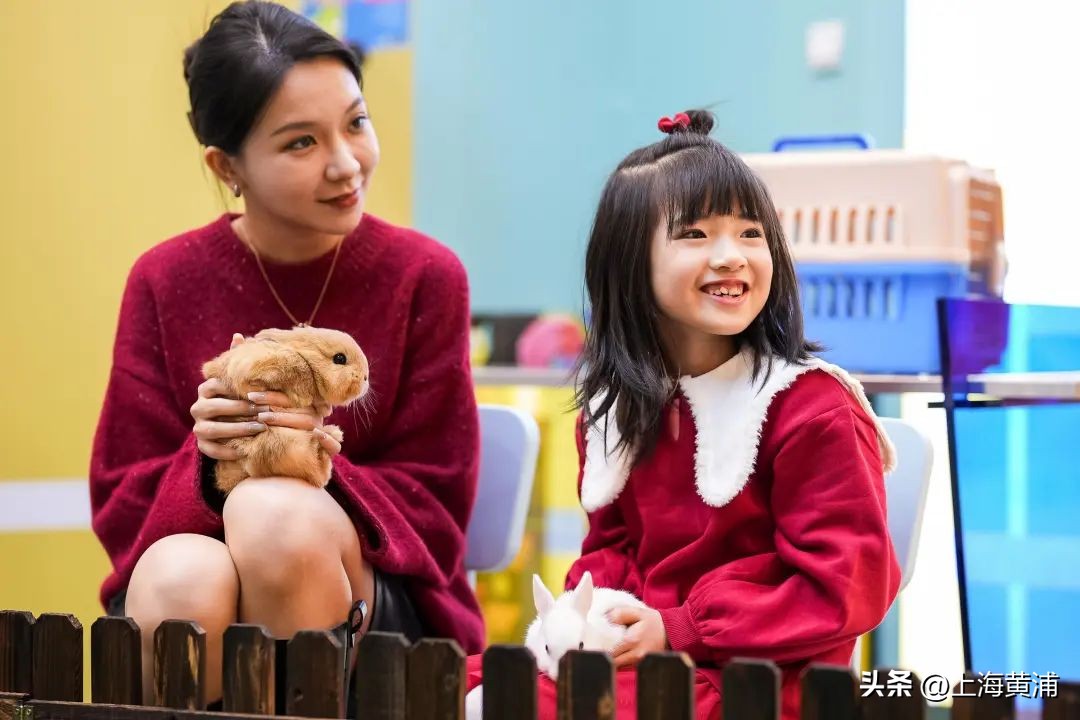 新春如何兔出重围？黄浦商业看这篇就够了