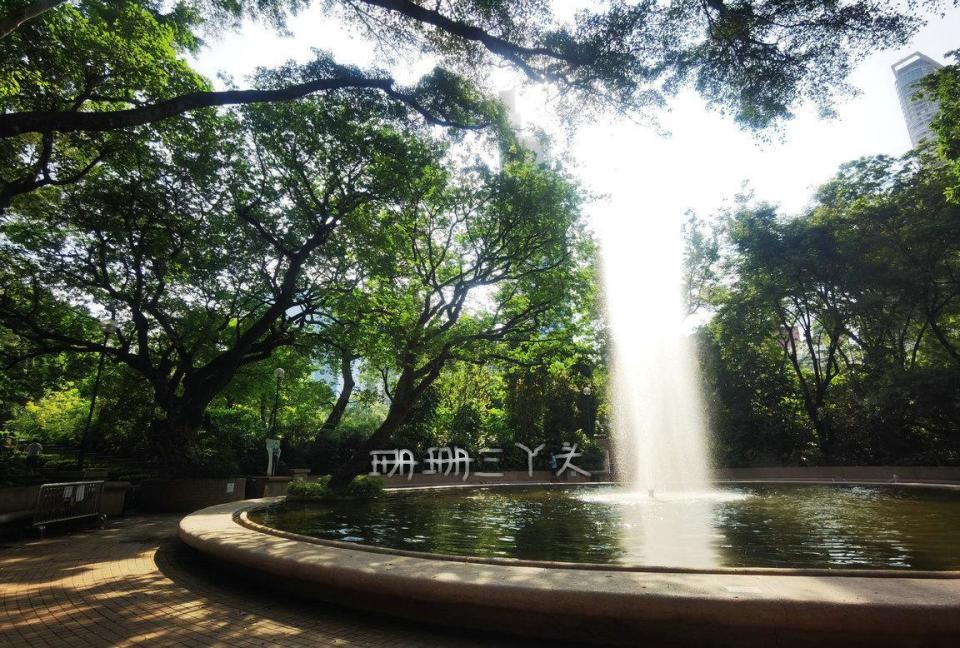 广州出发香港一日游自由行攻略,香港自由行攻略带吃的