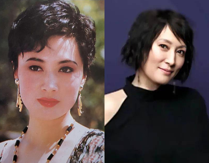 平凡之路客串女明星名字,平凡之路主演名单