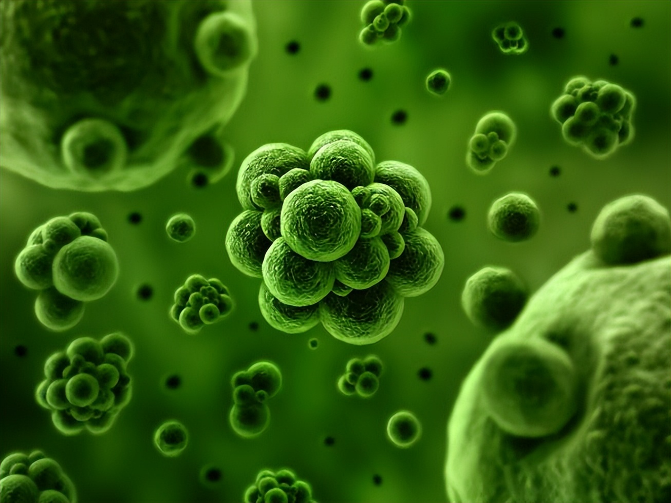 甲硝唑可以用一克吗,一瓶甲硝唑几块钱