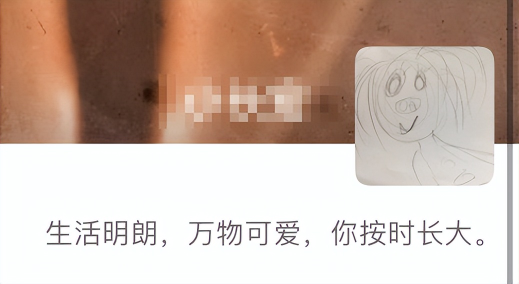 养娃段位,养娃段位全文